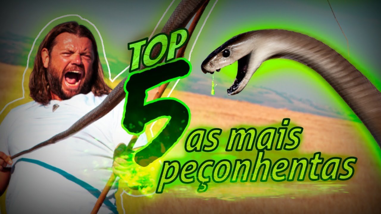 AS 5 SERPENTES MAIS PEÇONHENTAS DO MUNDO! | RICHARD RASMUSSEN