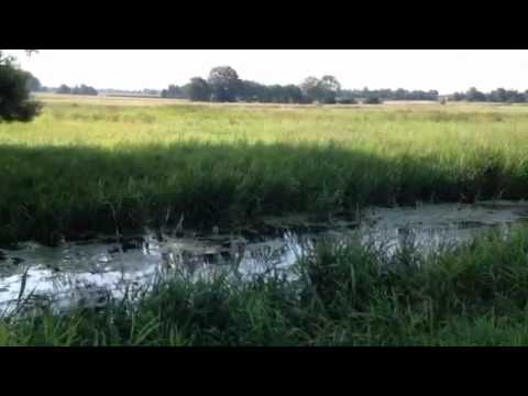 Tappenbeck - Hinterm Sportplatz