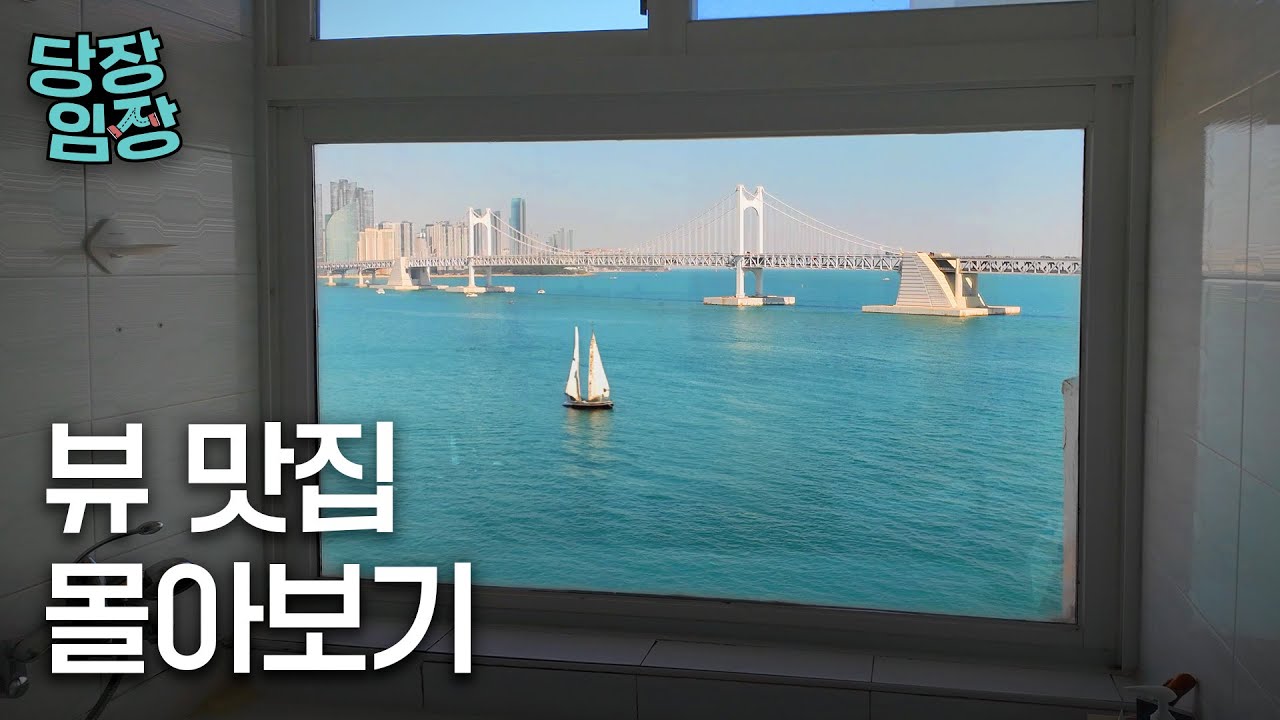 이게 아파트 뷰라고? | 당장! 임장 몰아보기