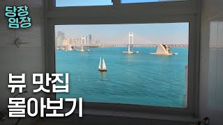 이게 아파트 뷰라고? | 당장! 임장 몰아보기