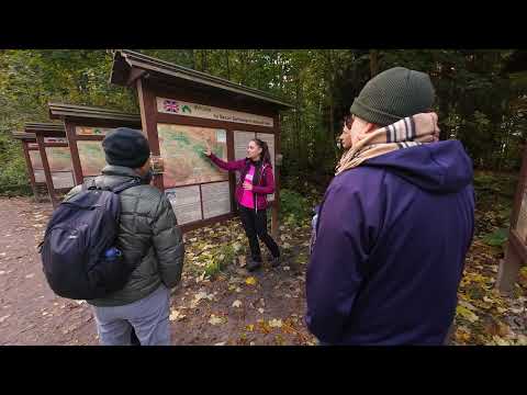 Day Trip to Bohemian & Saxon Switzerland from Dresden or Prague