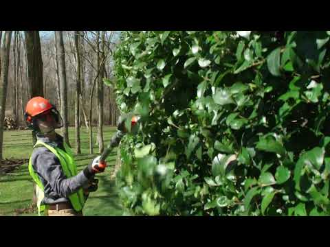 Husqvarna 520iHT4 Cordless Pole Hedge Trimmer 36V 13