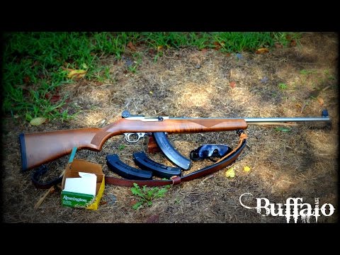 Ruger 10/22 sporter deluxe