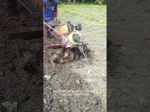 uji coba cultivator maestro 13hp,di lengkapi starter orecoil otomatis,sangat kuat berkualitas