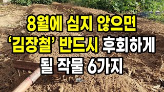 8월에 심지 않으면 김장철 반드시 후회하게 될 작물 6가지