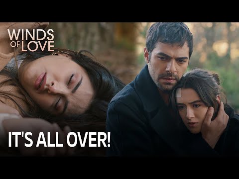 Halil Fırat tüm gerçeği öğrendi! | Rüzgarlı Tepe 210. Bölüm