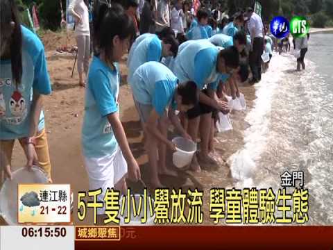 金門放流小小鱟 宣導復育重要性