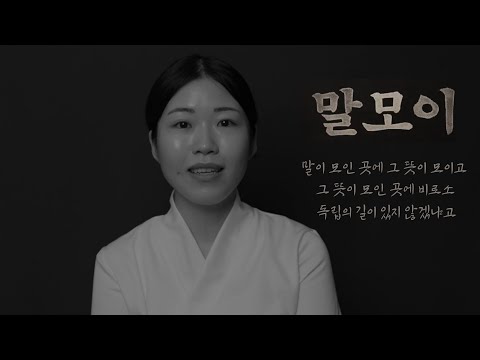 비디오 14