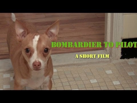 "Bombardier to Pilot" a short film by ALDucharme.com