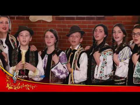 Grupul MOLDAVA - Du-te dor în Valea Sacă