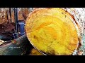 Wow This Jackfruit Wood Is Yellow Like Gold