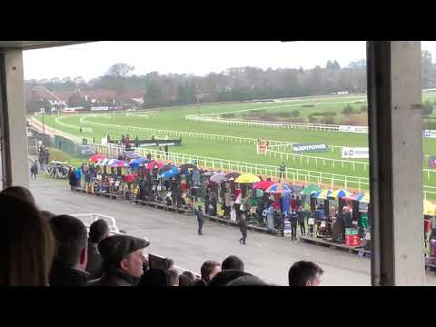 Faugheen wins the Flogas Novice Chase - View From The Stands