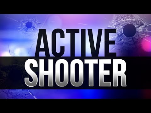 Active Shooter: Run Hide Fight