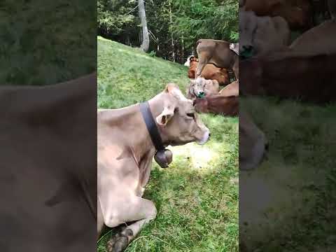 qui se dorme alla grande