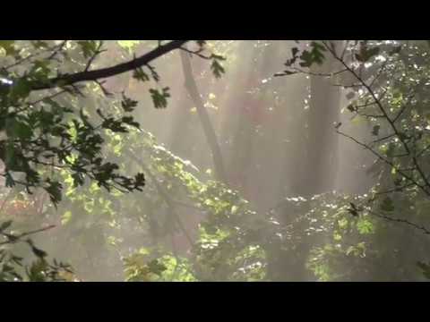 Aliens in Bad Pyrmont - Beautiful views in Bad Pyrmont Part 2  (October 2018)