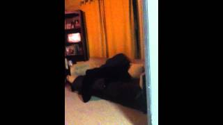 Tommy's revenge.. on jake.