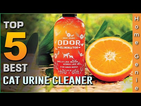 Best Cat Urine Cleaners in 2022 [Top 5 Reviews] - Eliminates Urine Stain & Odor From Your Space