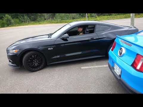 V6 Mustang vs V8 Mustang Rev Battle!