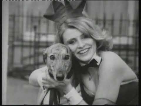 THE GREYHOUND DERBY - A VIDEO HISTORY