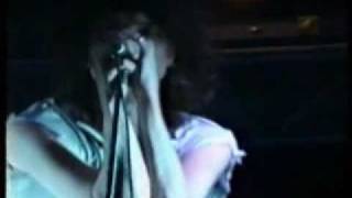 Peace Love And Pitbulls- Radio King Kong