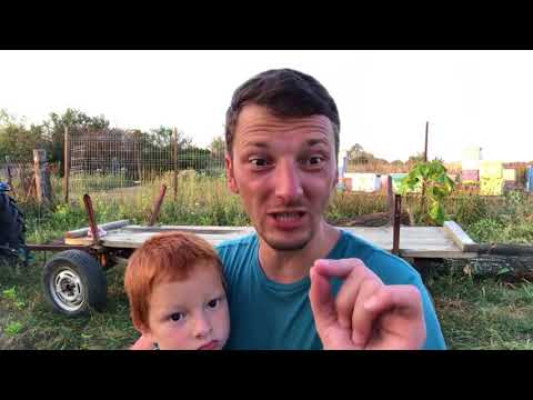 Mesajul esențial al spălării picioarelor | Live 077