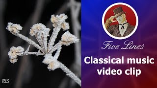 autumn melancholy, quiet slow music  Frédéric Chopin - Prelude in E-Minor