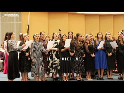 Mai luptă, mai rabdă nu da înapoi - Grup, Vicovu de Sus