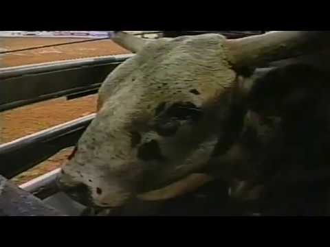 Diamonds Ghost bucks Bart Jackson - 04 PBR Fresno