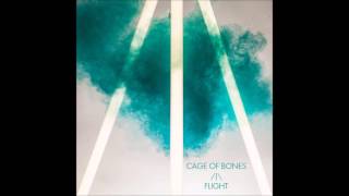 Son Lux - Cage Of Bones (Audio)