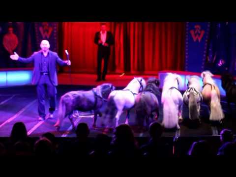 wolfgang Lauenburger poni