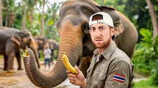 How Tourism Changed Thailand