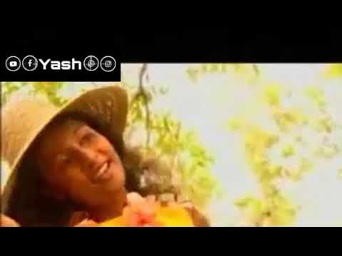 Dewata aine mal pipenne punchi nangilatai song
