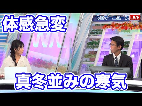 いつ冬のベールをかぶるかを知ることがなぜ重要なのでしょうか?効果はあるのでしょうか？  庭園