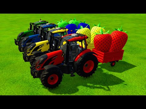 TRANSPORT GIANT COLORED STRAWBERRY WITH FIAT TRACTORS - Farming Simulator 22