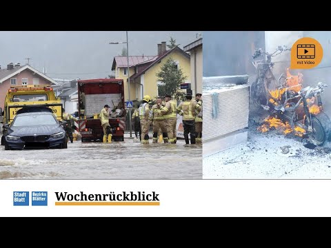 Hochwasser, Corona, Wolf & Bär – der Wochenrückblick KW29