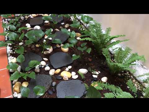 Biệt thự mini sang trọng mang phong cách Healing, Zen, rất đẹp, đầy đủ nội thất,