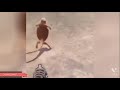 Oh Hell No Funny Lizard Video Meme Template