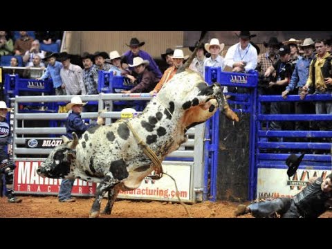 Cochise Nearly Perfect - 08 CBR Biloxi