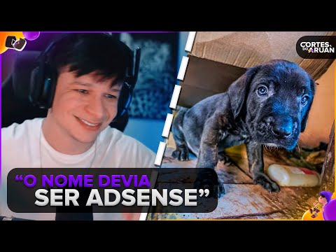 ARUAN REAGE: URGENTE⚠️ ENCONTREI ESSE CACHORRINHO ABANDONADO NA LENDA DA HERDEIRA!! (BRUNO BARRETO)