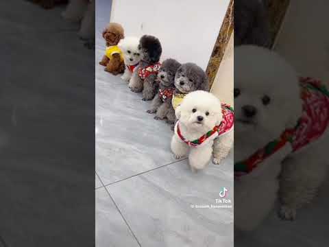 ٧ يوليو، ٢٠٢٤