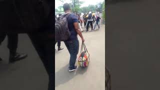 Download lagu Dapet Viking anjing di Stasiun mp3 Download lagu Dapet Viking anjing di Stasiun mp3