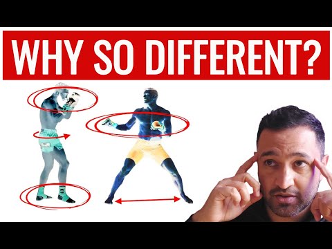 The Hidden Logic Behind Elite Fighting Stances