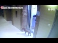 [Cry] Dog strangled to death by elevator - 2016
