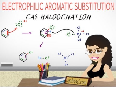 Aromatic Halogenation Mechanism - EAS Vid 3 by Leah4sci