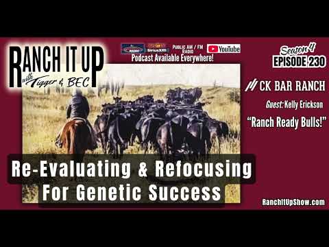 CK Bar Ranch Re-Evaluates & Refocuses For Genetic Success & Cattle Industry News
