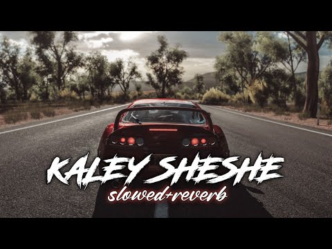 Kaley Sheshe Addy Nagar Slowed Reverb|