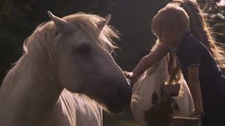 Paul Weller - White Horses (Official Video)