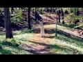 Alpaca Sports - She'll Come Back For Indian ...