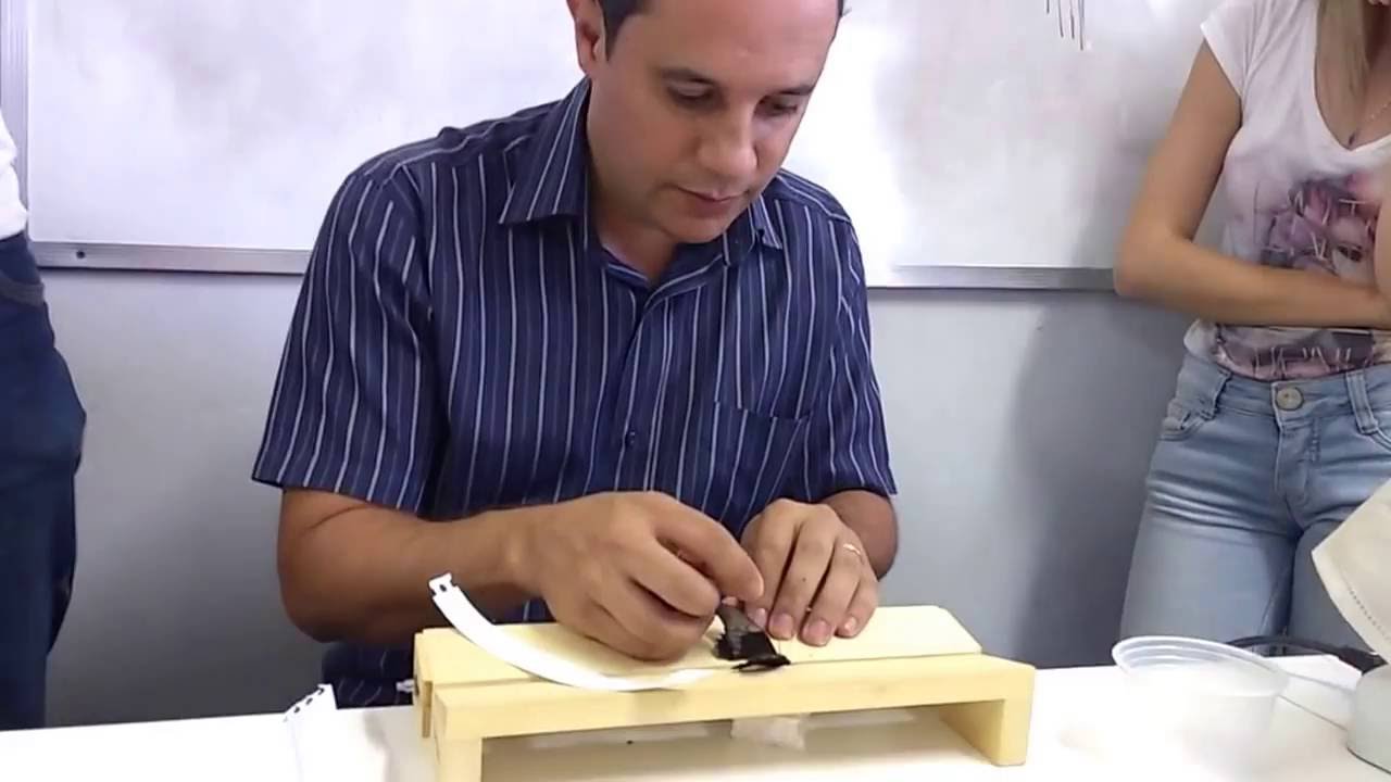 Montagem de borboleta para insetário - Lepidóptera (borboletas e mariposas) com Prof. Flávio Lemes