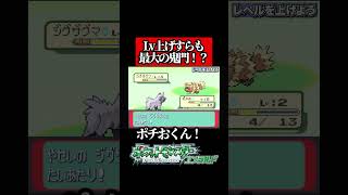 ポチお、弱すぎ問題 #かえるてんぐ #ゲーム実況 #ポケモン